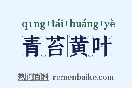 青苔黄叶是什么意思的图片